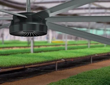 BetterAir HVLS fan in a greenhouse over seedling beds